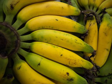 A bohça-in muz closeup