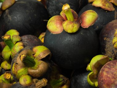 Closeup mangosten meyve