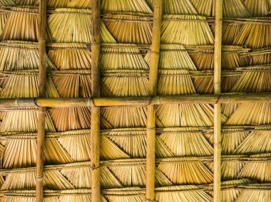 palmiye yaprağı çatı 