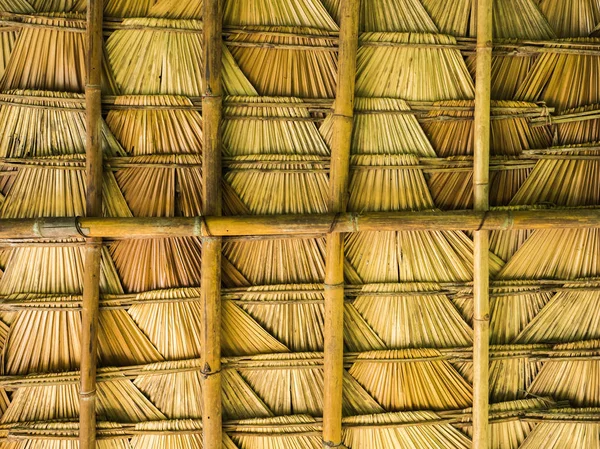 Пальмовая крыша — стоковое фото