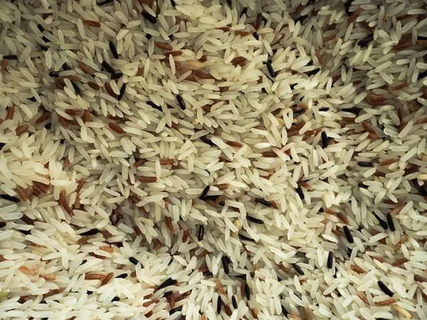 Thailändische Reissorten — Stockfoto