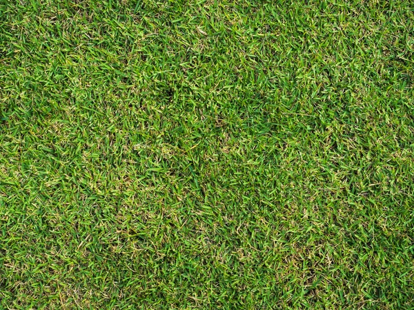 Pattern Of grass — Stock Photo, Image