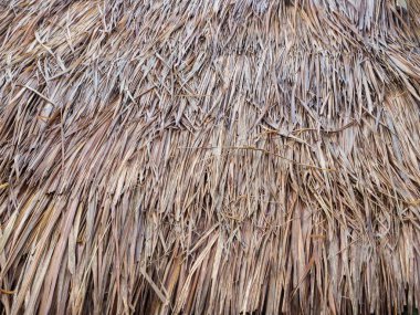 saz çatı arka plan