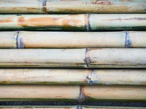 Уложили бамбук — стоковое фото