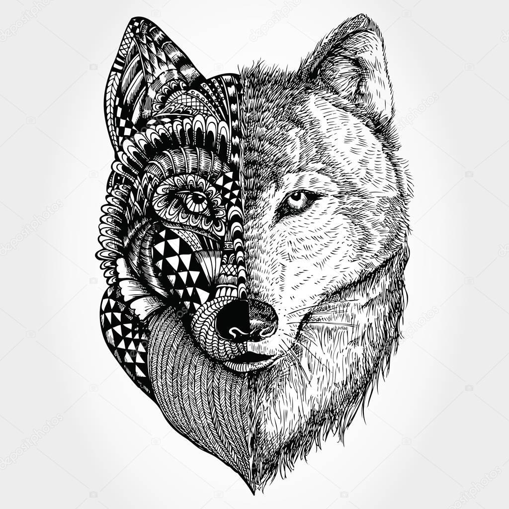 Download Testa di lupo stilizzato disegnato a mano — Vettoriali ...