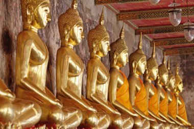 birçok altın Buddha 
