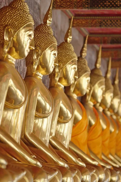 Viele goldene Buddhas — Stockfoto