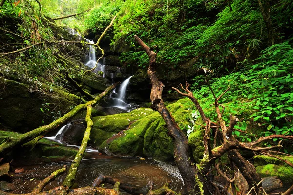 forrest sonbaharda su