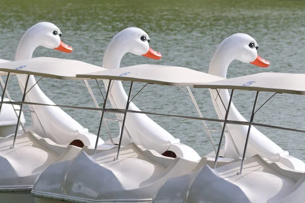 White duck boat — Stock Photo, Image