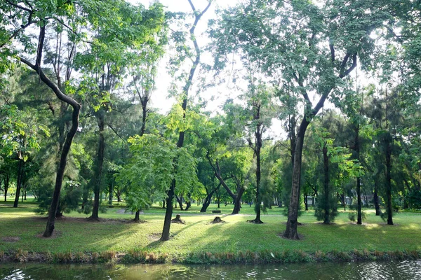 Parque Lumpini Bangkok —  Fotos de Stock