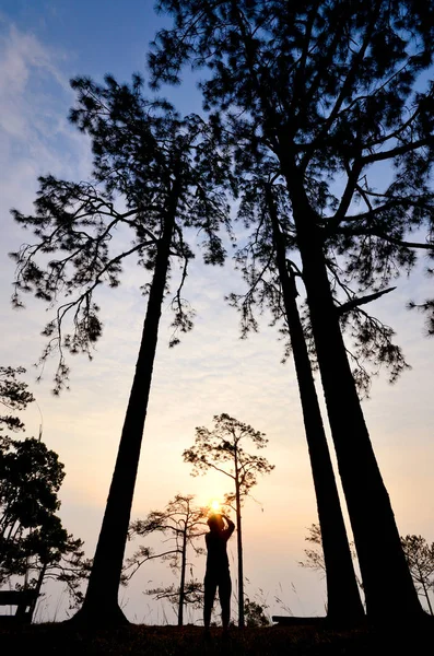 Coucher de soleil sur la montagne — Photo