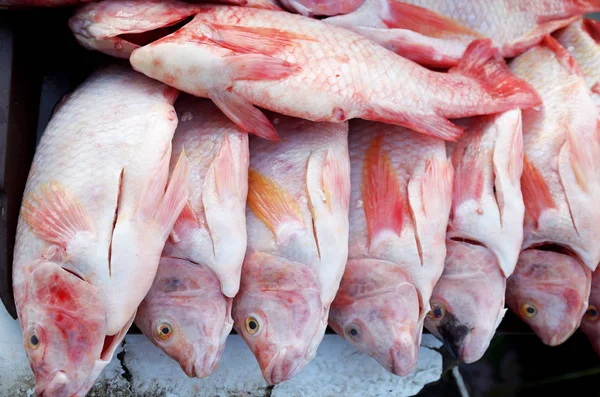생선 구이 fress — 스톡 사진