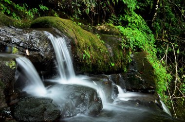 water fall in forest