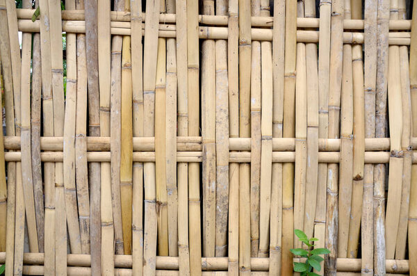 Wall of some home in thailand made with bamboo.