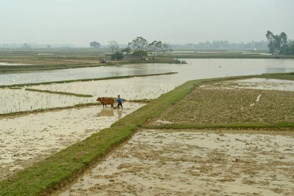 Terrazas de arroz en Vietnam — Foto de Stock