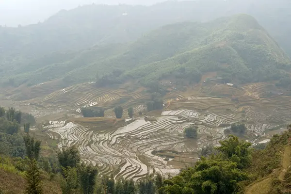 Rizs teraszok Vietnamban — Stock Fotó