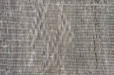 yakın çekim yaşlı bambu