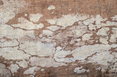 Yakın çekim ahşap doku