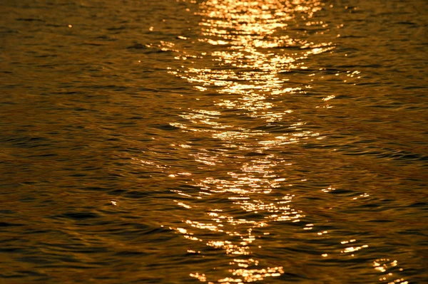 Golden light and wave — Stock Photo, Image