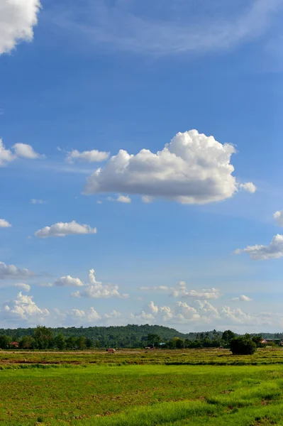 Nube su cielo blu — Foto Stock