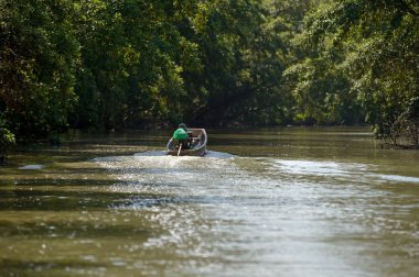 uzun kuyruk tekne mangrov orman