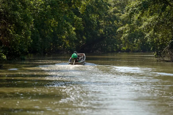 uzun kuyruk tekne mangrov orman