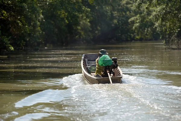 uzun kuyruk tekne mangrov orman