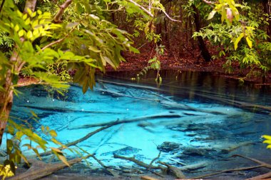 Tayland zümrüt havuzu