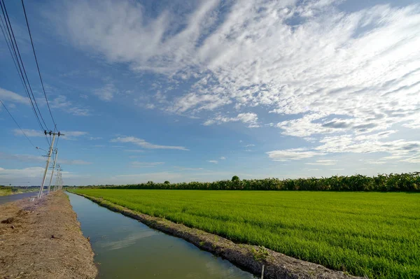 Canal de arroz y bluesky — Foto de Stock