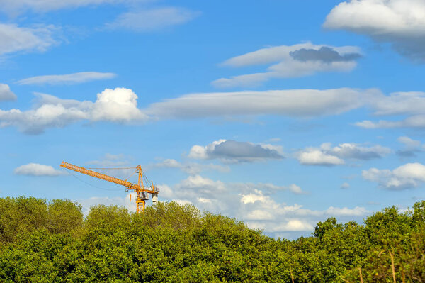 Construction site with crane in forest chonburi thailand