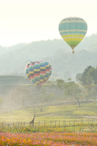 Ballon eller varm luft - Stock-foto