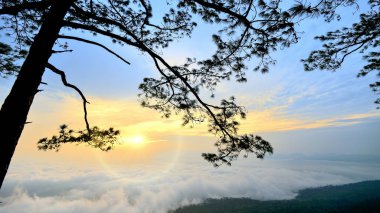 ulus park Tayland noktada görünümü