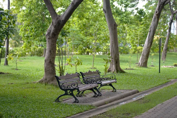 Silla en el parque —  Fotos de Stock