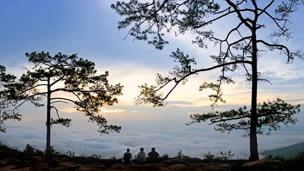 Oogpunt op nationale park van thailand — Stockfoto