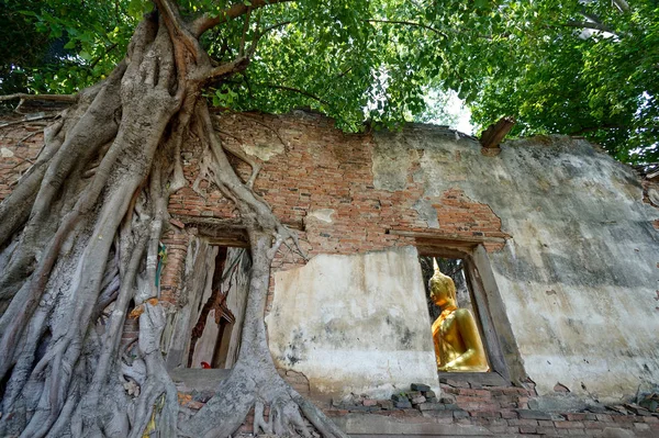 ağacında eski Tapınağı