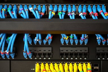 Internet için ağ kablosu