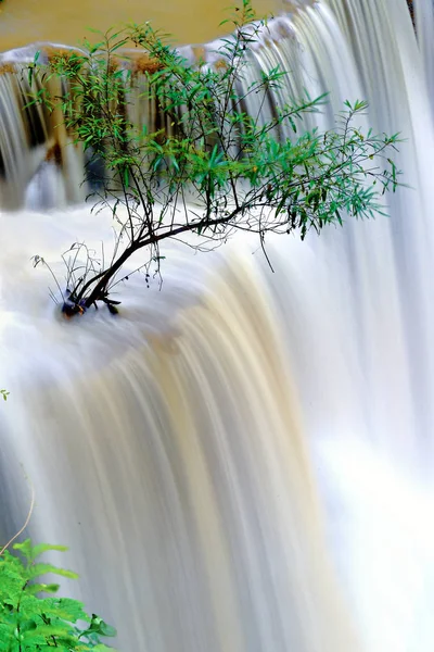 Wasserfälle und Bäume im thailändischen Wald — Stockfoto
