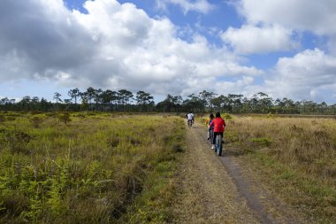 Phu Kradueng Tayland milli parkında bisiklet sürmek