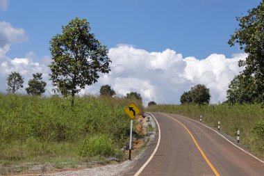 Thung Salaeng Luang ormanında yollar ve çam ağaçları