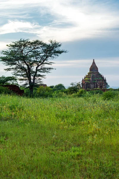 Bagan Myanmar Terra Muitos Pagodes Pela Manhã — Fotografia de Stock