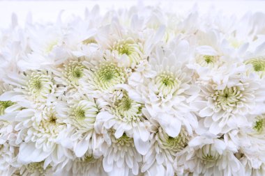 Kapat ya da makro Beyaz çiçek buketi