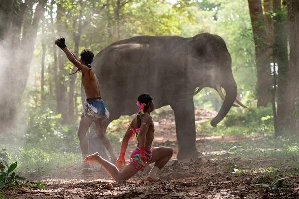 Boxers Praticando Boxe Selva Com Elefantes — Fotografia de Stock