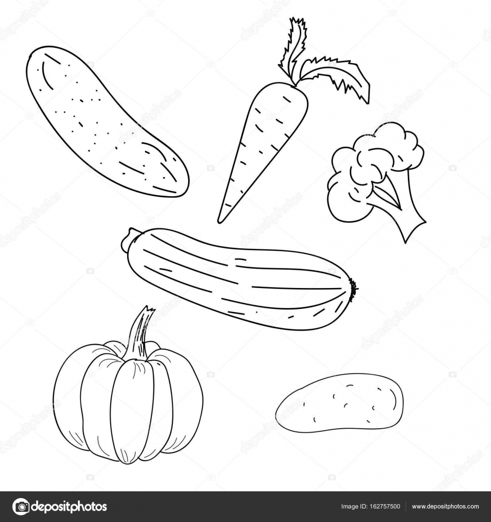 Verdure Illustrazione vettoriale del profilo Disegno con le mani Libro da colorare — Vettoriali di Hel em