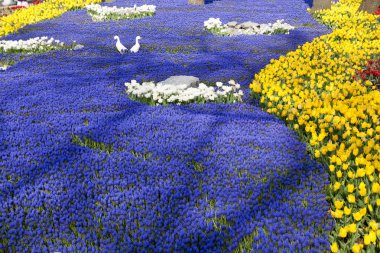 0041 - çiçek arka plan