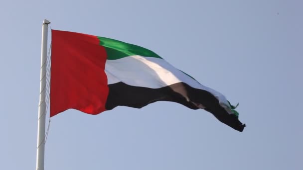 Birleşik Arap Emirlikleri bayrağı — Stok video