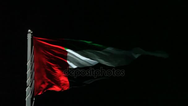 UAE Flag at night — Stock Video