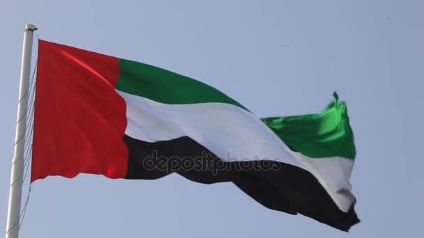 Bandera de Emiratos Árabes Unidos — Vídeos de Stock