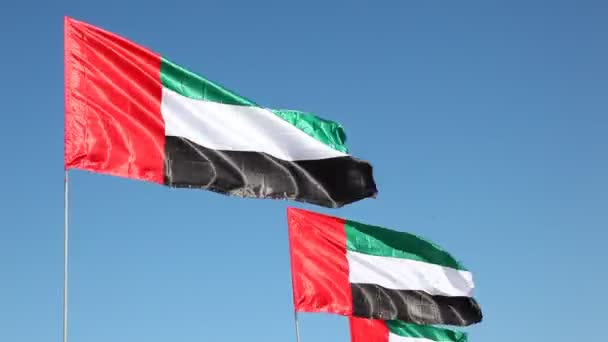 Banderas Nacionales de los EAU — Vídeo de stock