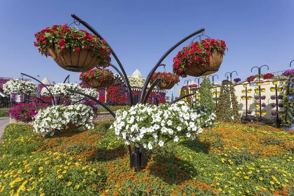 Blumen im Wundergarten in Dubai — Stockfoto
