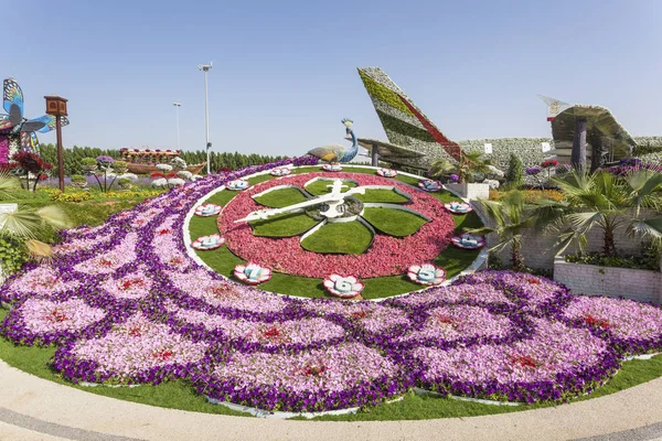 Flowers at the Miracle Garden in Dubai — Stock Photo, Image